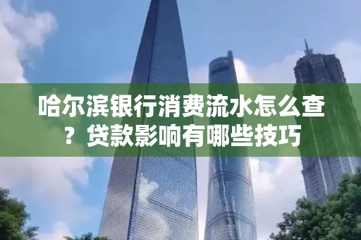 哈尔滨银行消费流水怎么查?贷款影响有哪些技巧